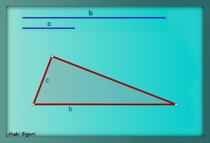 Triángulo rectángulo 06
